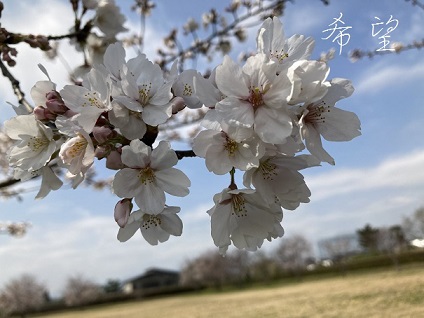 在宅ワーク　時間の使い方