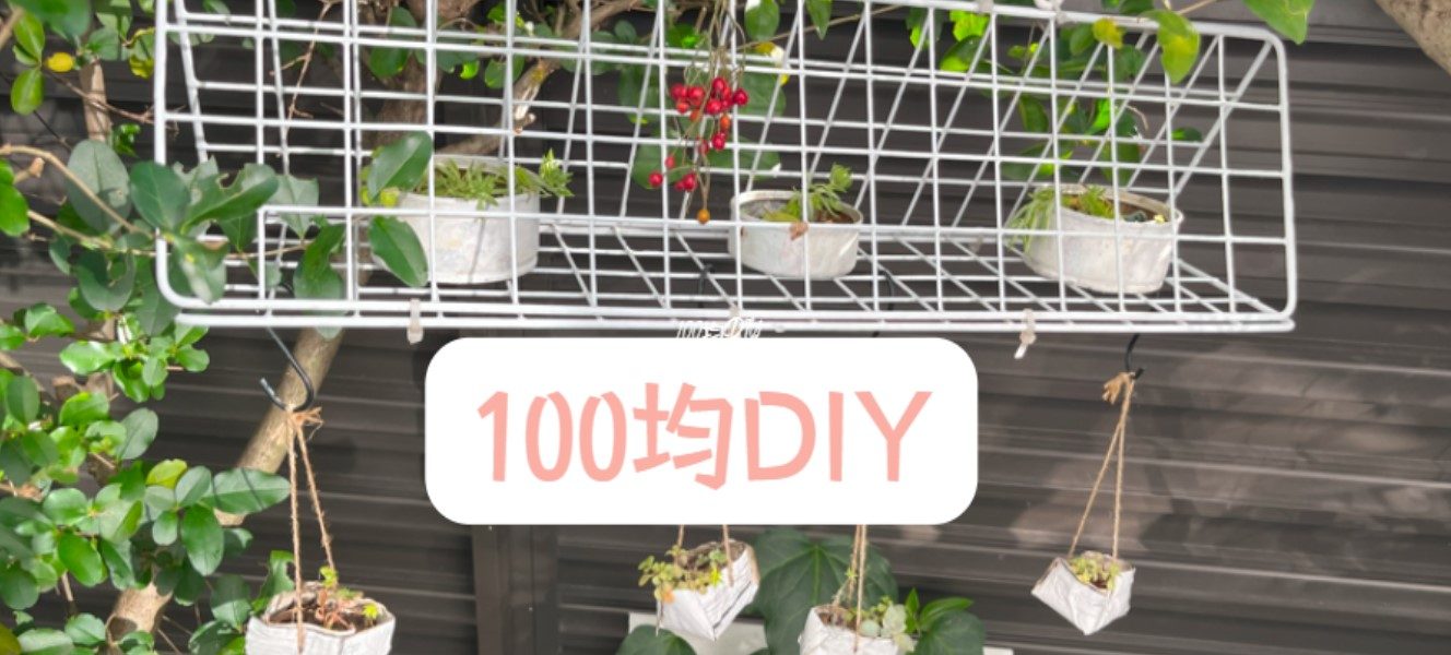 100DIY