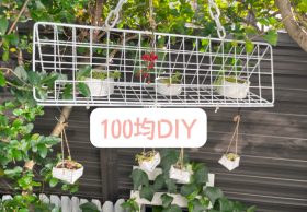 100DIY