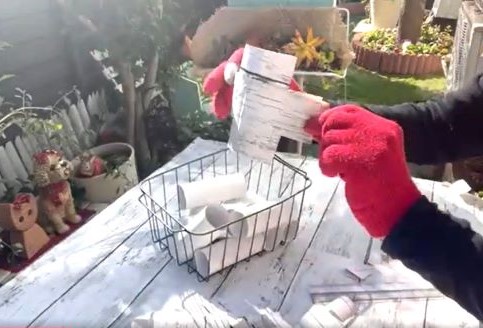 ガーデニングでDIY,リユース,トイレットペーパーの芯