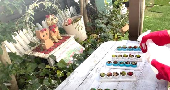 ガーデニングでDIY,ガーデン雑貨,リユース