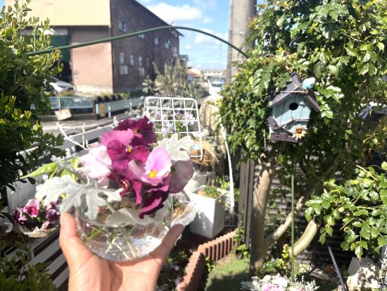 春のガーデン、小さな庭でDIY！100均で作るおしゃれなパンジーの寄せ植え