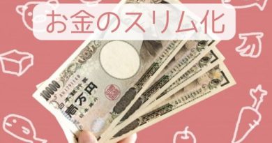 お金のスリム化