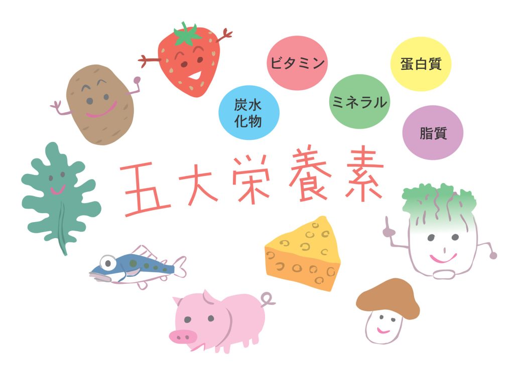 誇大栄養素,たんぱく質