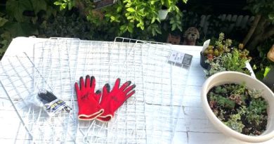【100均DIY】初夏のガーデンでミニ棚作り3選！100均ワイヤーラティスで小さなスペースを最大限に生かす方法とは？