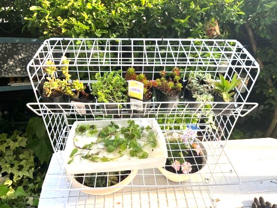 100均DIYでミニ棚をDIY