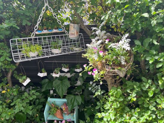 【ガーデニングでDIY】おしゃれなガーデン雑貨３選！プラスチック用品やトイレットペーパーの芯をリサイクルして素敵な空間作り