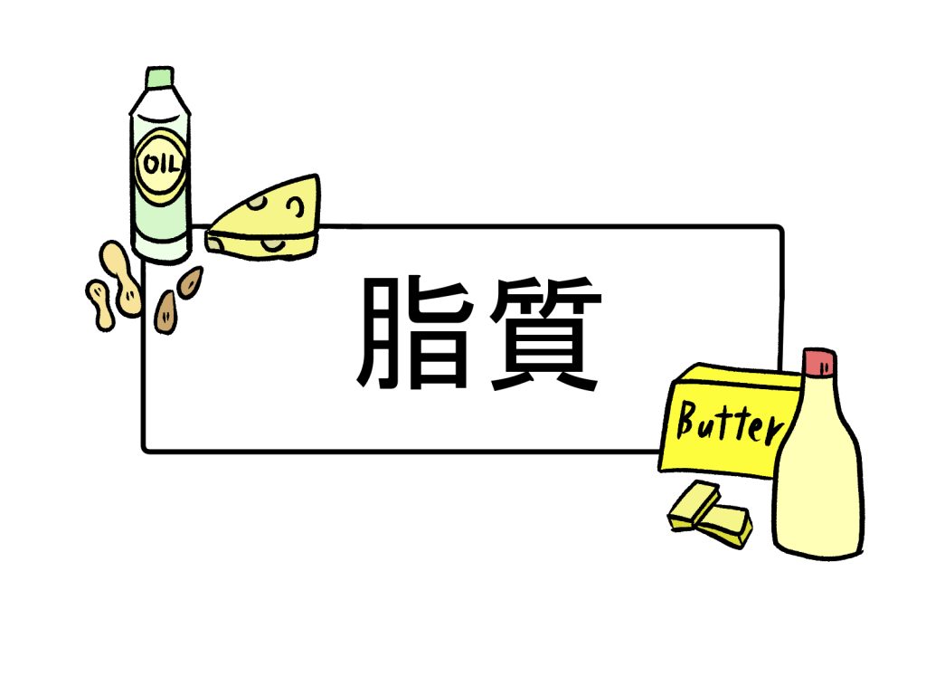 五大栄養素,脂質