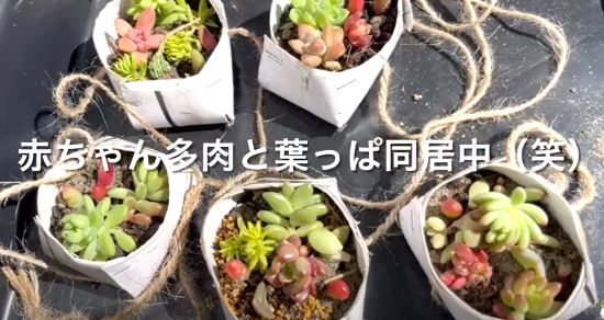 トイレットペーパーの芯をリメイク