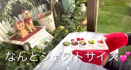 ペットボトルのフタで多肉入れ