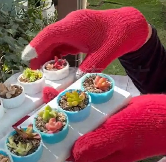 ガーデニングでDIY