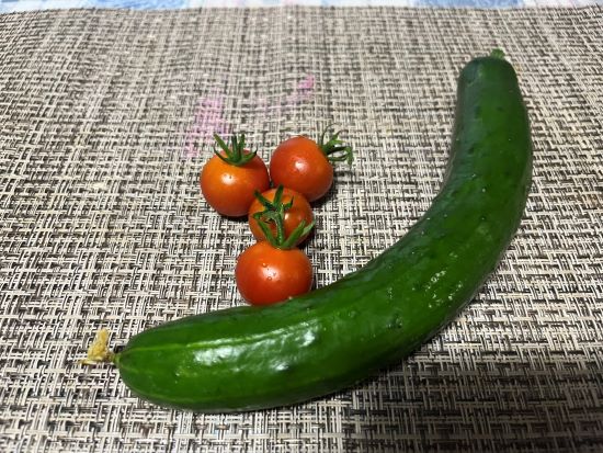 夏の野菜