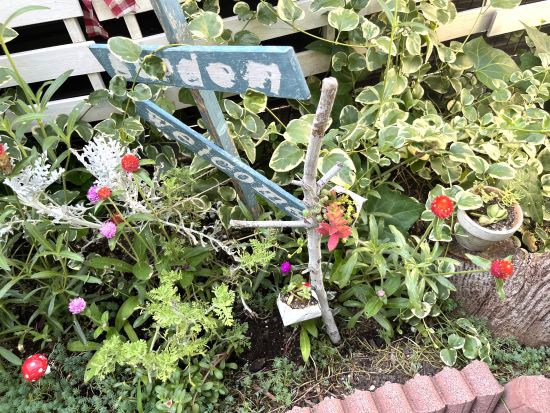 夏の花,千日紅,ストロベリーフィールド