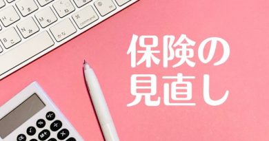 【保険の見直し】保険管理台帳のススメ！種類別に、家族別に、内容別にわかりすくまとめよう