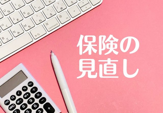 【保険の見直し】保険管理台帳のススメ！種類別に、家族別に、内容別にわかりすくまとめよう