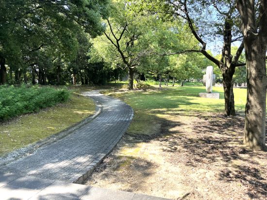 夏の図書館