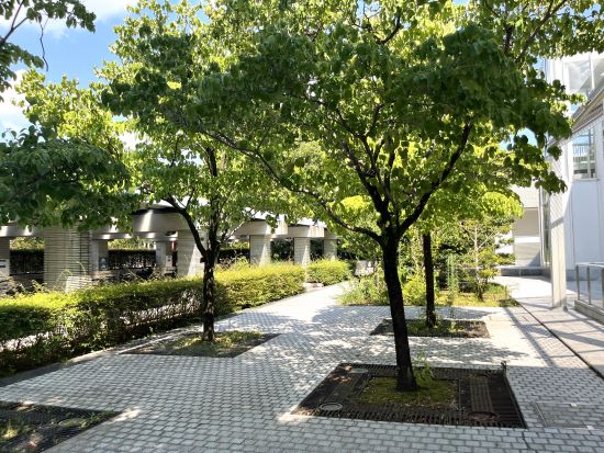 図書館