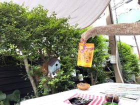 小さなガーデン