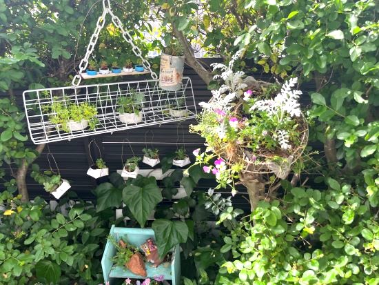 ガーデニングでDIY