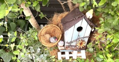 【ガーデンDIY】100均アイテム＆リサイクルゴミで雑貨作り！季節感あふれるおしゃれな庭づくり