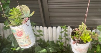 コラム