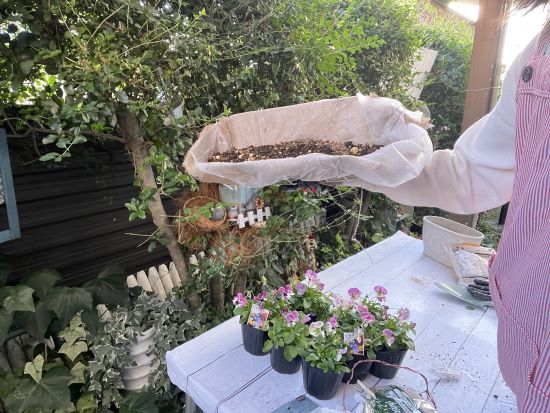 秋の寄せ植え,100均でDIY作り方