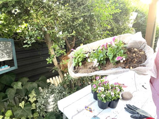 秋の寄せ植え,100均でDIY作り方