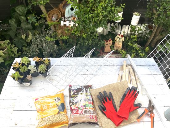 多肉植物の寄せ植え,100均DIY