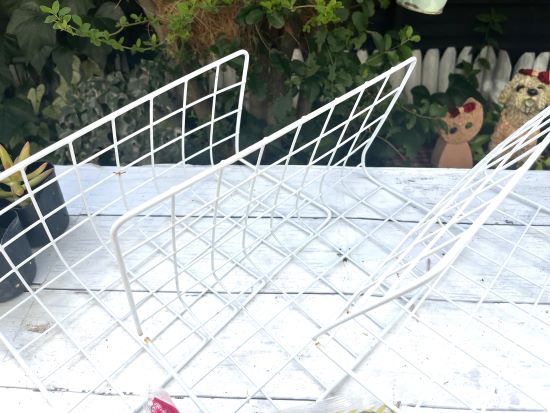 多肉植物の寄せ植え