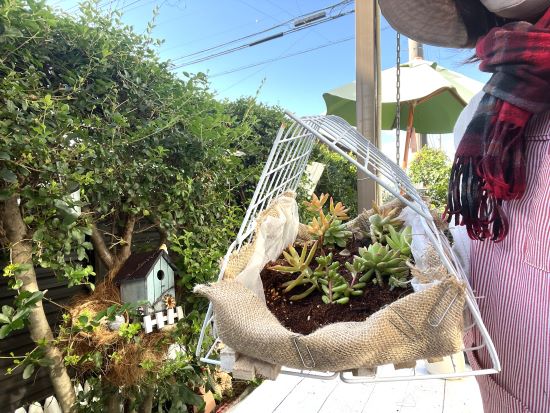 多肉植物の寄せ植え,100均DIY