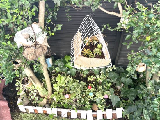 多肉植物の寄せ植え,100均DIY