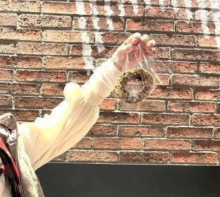 カフェのお派に入りのドーナツ