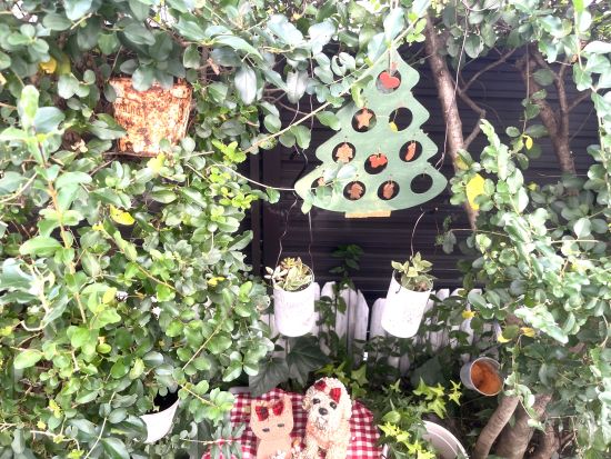 小さな庭のクリスマスガーデン