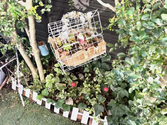 リメイクした多肉ハウス