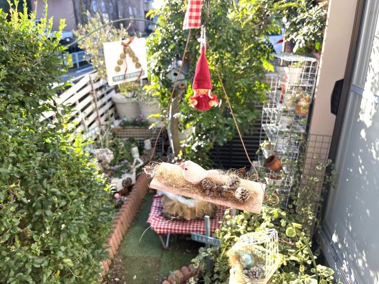 小さな庭のクリスマスガーデン