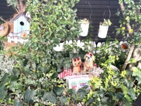 小さなガーデン