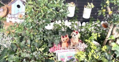 小さなガーデン