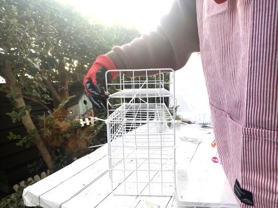 100均でDIYした多肉棚