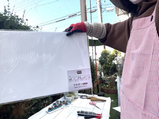 100均のプラダン