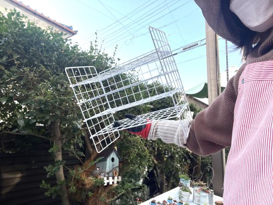 100均でDIYした多肉棚