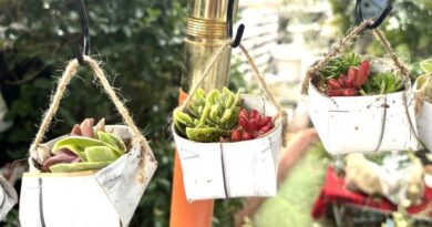 【ガーデンDIY】不用品のリメイクでお洒落な多肉入れ！3つのポイント！100均アイテムとのコラボ術とは？