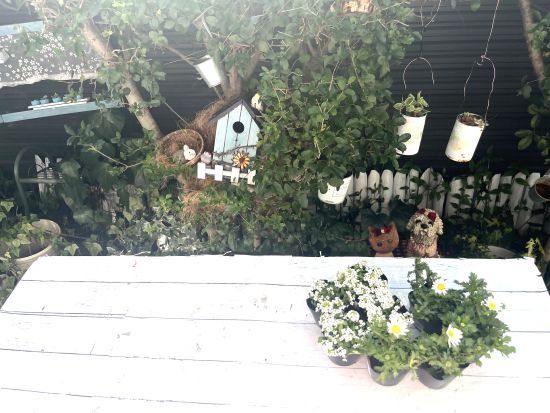 小さなガーデン