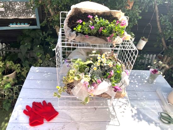 【ガーデニング】100均DIYで驚きの寄せ植えコーナーが誕生！空間を生かした結束力とは？