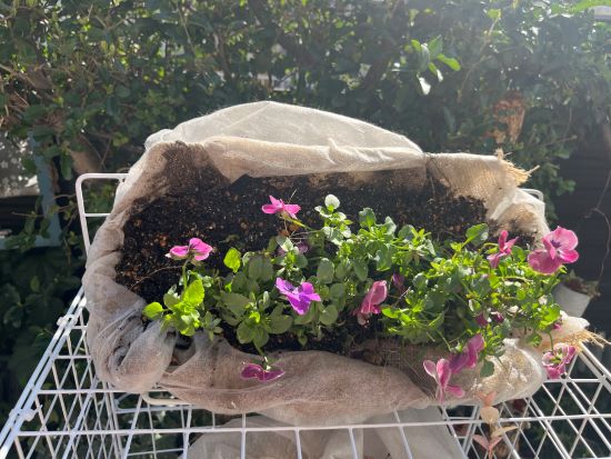 DIYした寄せ植え用の花台