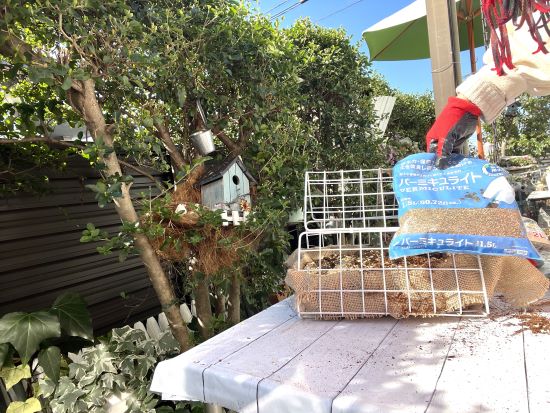 100均のバームキュライト